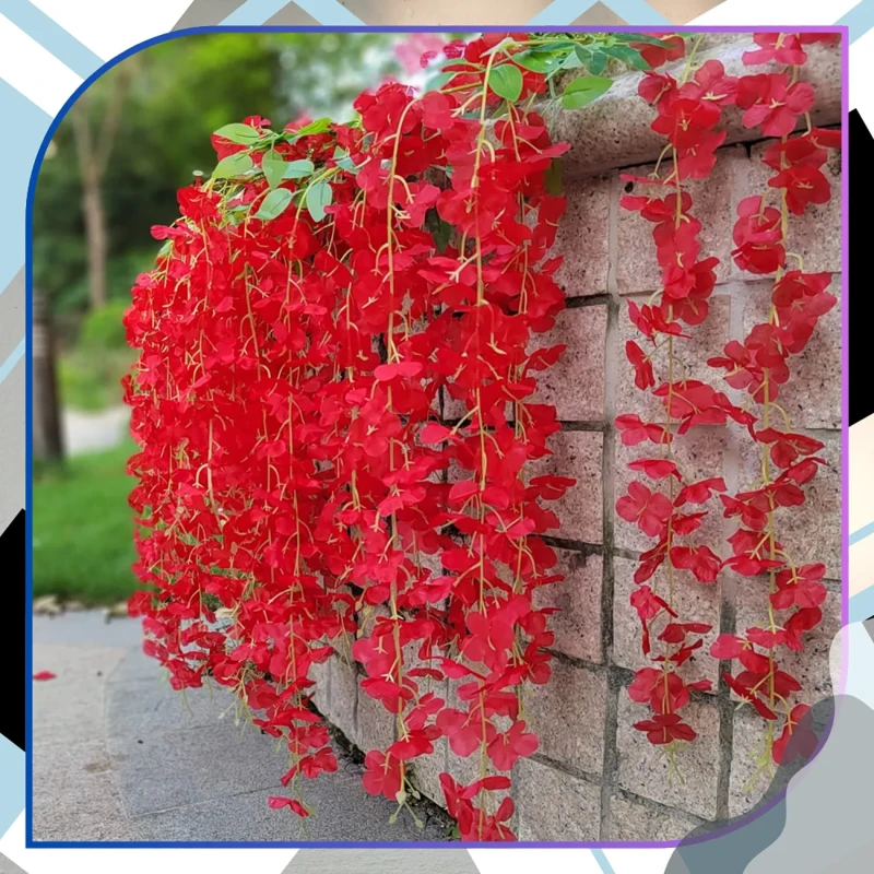 Wisteria-wiszące-kwiaty-czerwone10.webp