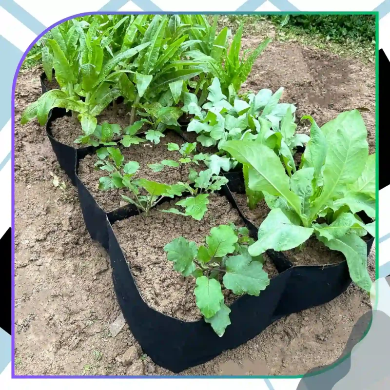 Duży worek torba doniczka do sadzenia warzyw 180x90x30 cm 4.webp