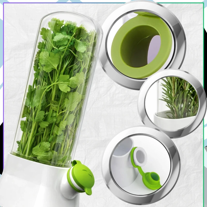 Pojemnik Na Zioła Duży Organizer Do Lodówki Warzywa Świeżość 27cm5.webp