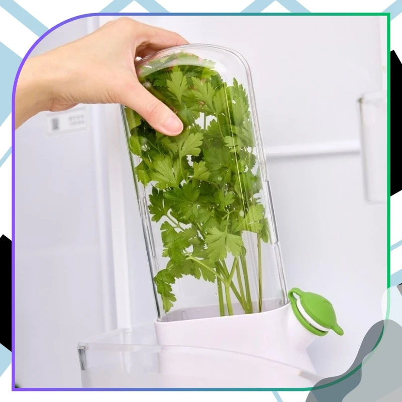 Pojemnik Na Zioła Duży Organizer Do Lodówki Warzywa Świeżość 27cm7.webp